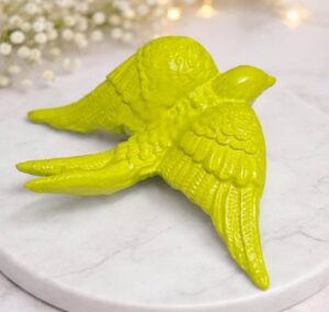 andorinha verde alface